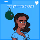 Baby Bird Plant Single Item
