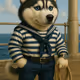Sailor husky #80