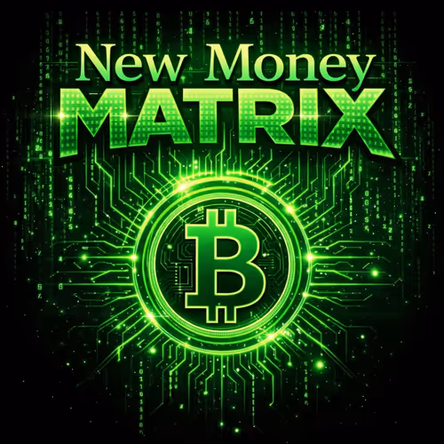 New Money Matrix Family Discord October Access NFT