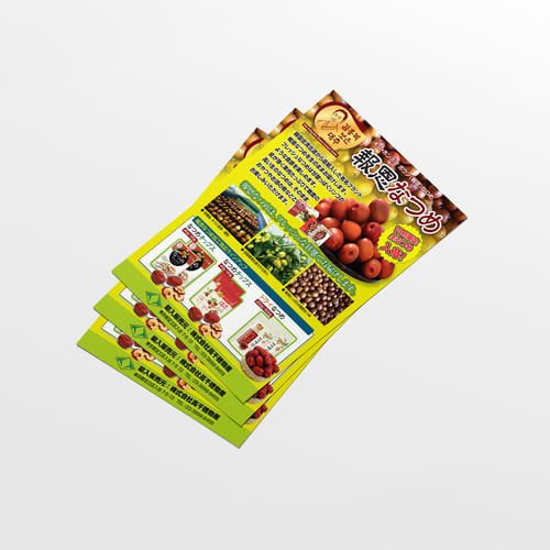 Takachiho Jujube Promotional Leaflet Design - Aug. 2016