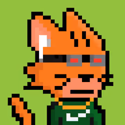 6426