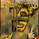 20