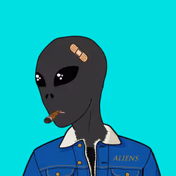 41