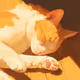 Milo Sleeping