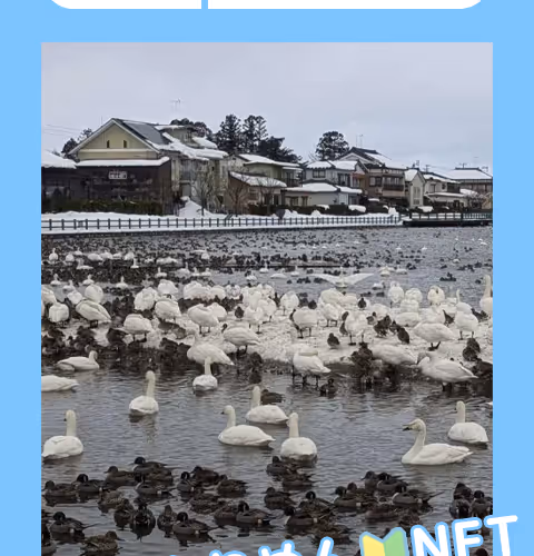 Karimennft03