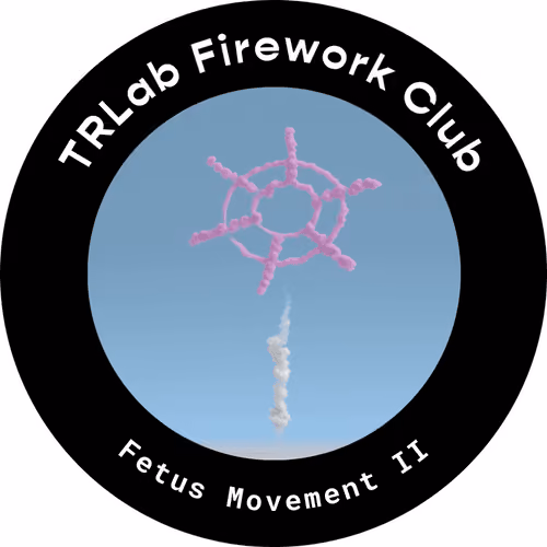 Firework Club - Fetus Movement II