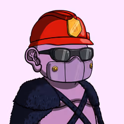 Donsy #1259