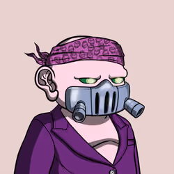 Donsy #2433