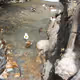 david10.lens-Collect-61