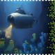 11559