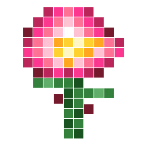 Rosa de Sant Jordi #7