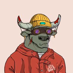 COOL BULLZ #1753