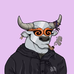 COOL BULLZ #612