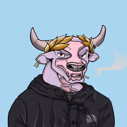 COOL BULLZ #548