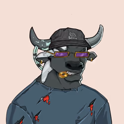 COOL BULLZ #1088