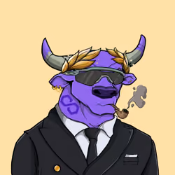 COOL BULLZ #986