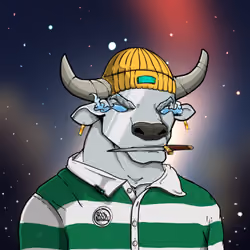 COOL BULLZ #638