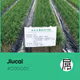 Jiucai V2