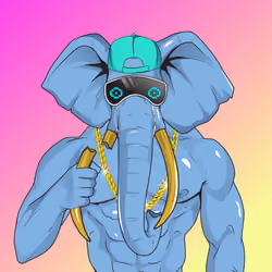 Pawpular #591