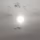Winter Sun