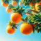 621