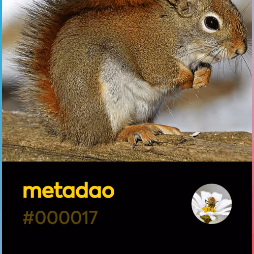 metadao