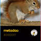 metadao