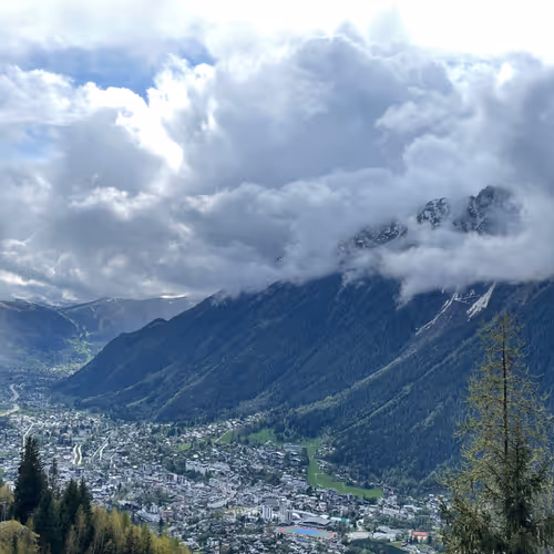 drewc.lens-Collect-75