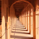 sandipm10.lens-Collect-631