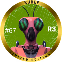 Rubee 67