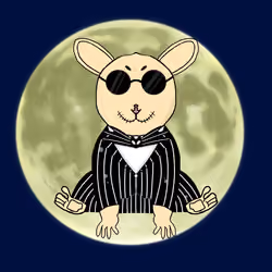 Slow Loris #68