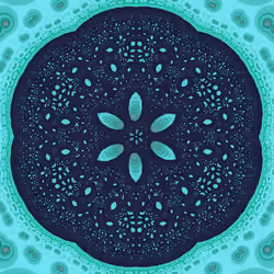 FRACTIS-2 #23