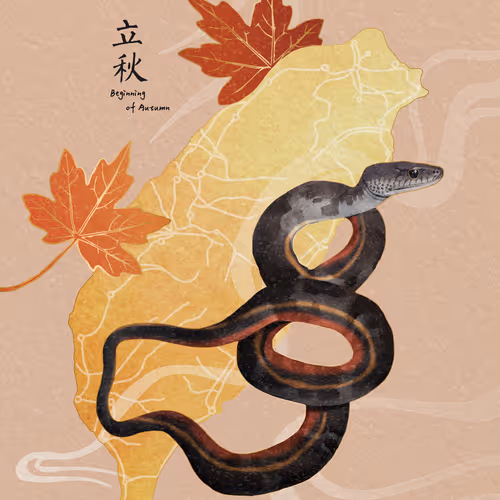 立秋 Beginning of Autumn