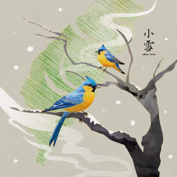 小雪 Minor Snow