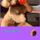 CoCo sweet
