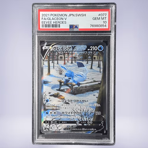 Item #528 Media