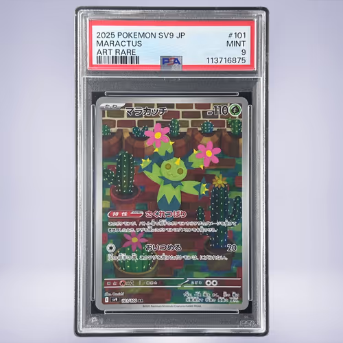 2025 Pokémon マラカッチ #101 PSA 9