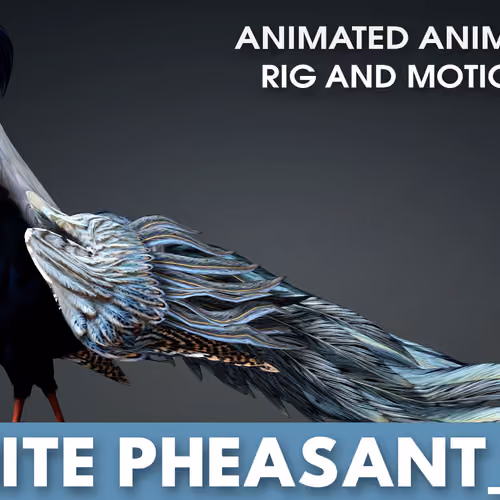 White Pheasant_A2