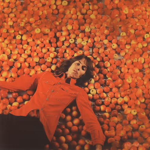 mstrbstrd.lens-Collect-107