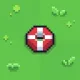 Lifeguard Ring