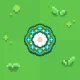 Green Field Rug