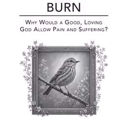 Controlled Burn 7.8.26