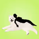 Blizzard the Samoyed