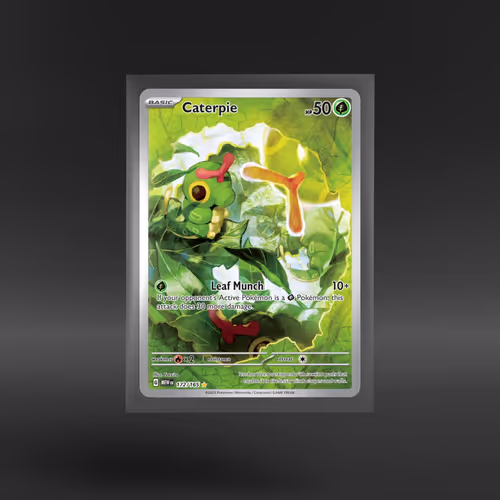 151 #172/165 Caterpie