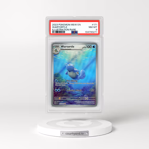 2023 Pokémon Mew EN-151 #171 Wartortle - Illustration Rare (PSA 8 NM-MT)