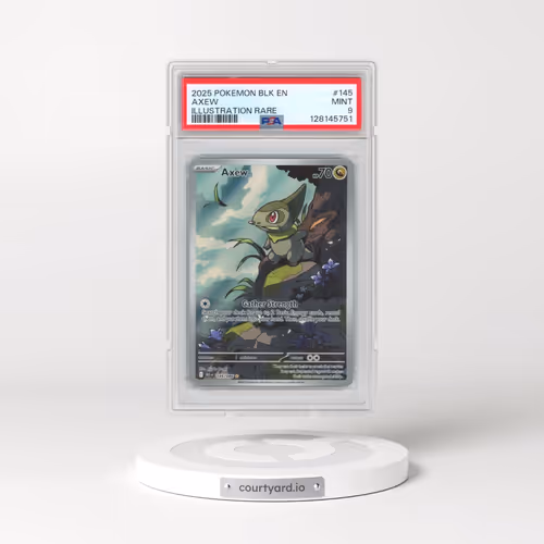 2025 Pokémon Blk EN-Black Bolt #145 Axew - Illustration Rare (PSA 9 MINT)