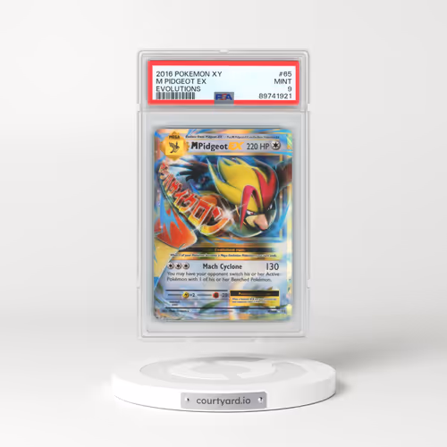 2016 Pokémon XY Evolutions #65 M Pidgeot EX - Holo (PSA 9 MINT)