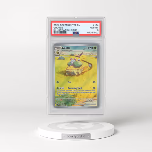 2024 Pokémon Tef EN-Temporal Forces #164 Grotle - Illustration Rare (PSA 8 NM-MT)
