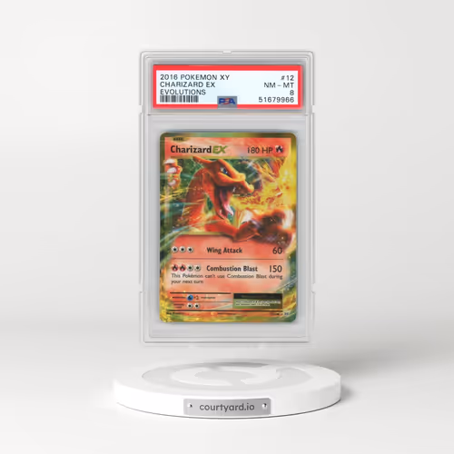 2016 Pokémon XY Evolutions #12 Charizard EX - Holo (PSA 8 NM-MT)