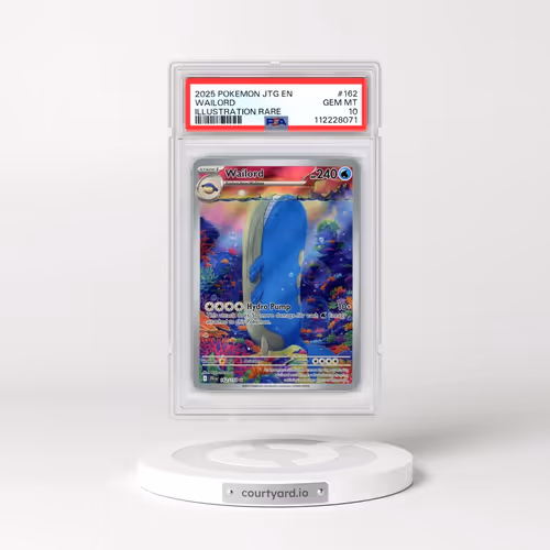 2025 Pokémon Jtg EN-Journey Together #162 Wailord - Illustration Rare (PSA 10 GEM MINT)